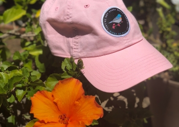 Dad Hat (Pink)