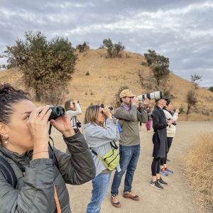 Private Guided Birding Tour - BIRDS, TOURS, & THREADS