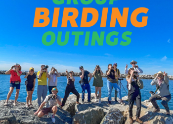 Birding Series Outings