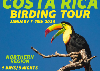 Costa Rica Birding Tour Northern Region